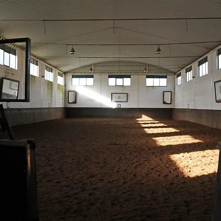 Gasthuis Sleep In Bucelas